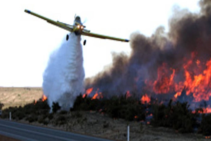 Photo of उदयपुर के जंगल में लगी भीषण आग, हेलिकॉप्टर से बुझाई जा रही है