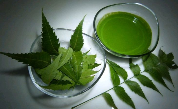 पीलिया से छुटकारा पाने के लिए करे नीम और शहद का सेवन