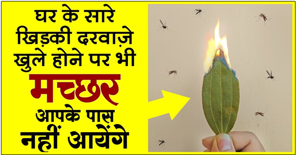 Photo of ये है मच्छर मारने का सबसे बेहतर तरीका ! मात्र 1 मिनिट में पायें छुटकारा