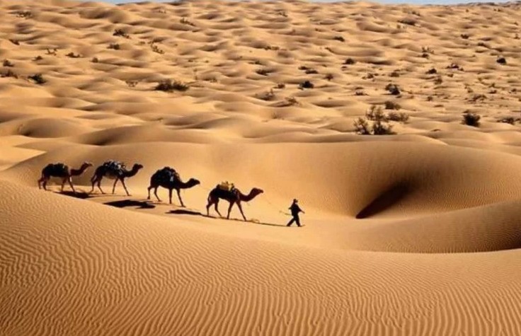 Photo of रेगिस्तान में छिपे हैं ऐसे 5 रहस्य, जिनके खुलने से ब्रह्मांड में आ सकता है भूचाल