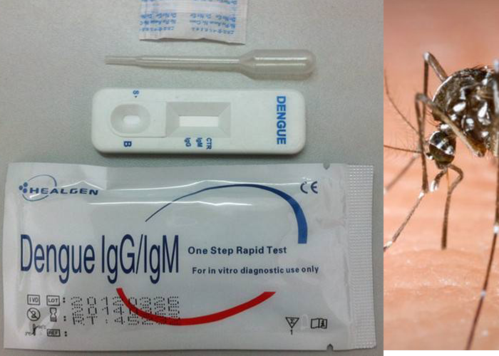 Photo of डेंगू टेस्ट किट : प्रेंग्नेंसी टेस्ट की तरह ही तुरंत करें डेंगू की जांच