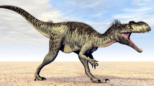 125 मिलियन साल पुराने अवशेषों से हुआ खुलासा डायनासोर को भी होती थी डैंड्रफ