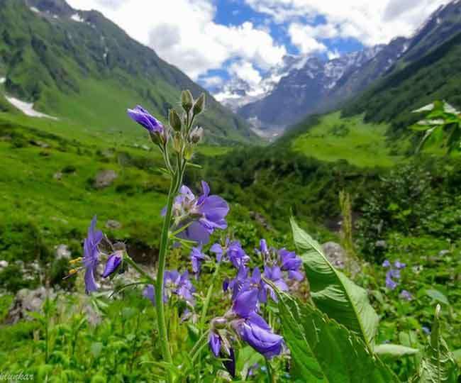 उत्तराखंड में पर्यटकों के लिए खुलेगी फूलों की घाटी