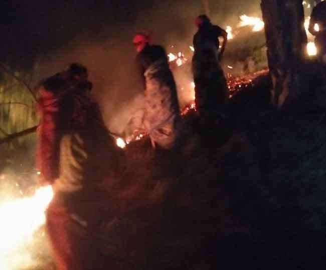 उत्तराखण्ड के धेवरा गांव के जंगलों में लगी आग बुझाने में महिलाओं ने संभाला मोर्चा
