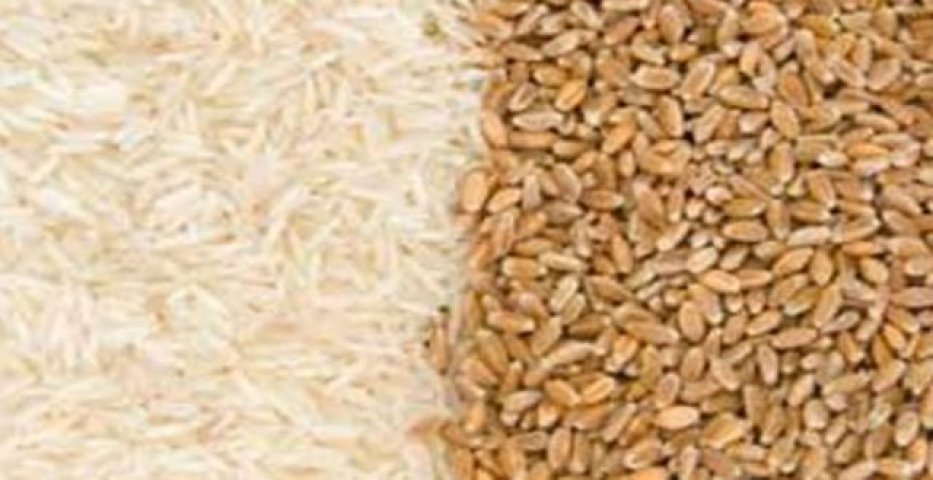Photo of एक साल तक नहीं बढेंगे गेहूं-चावल के भाव: पासवान