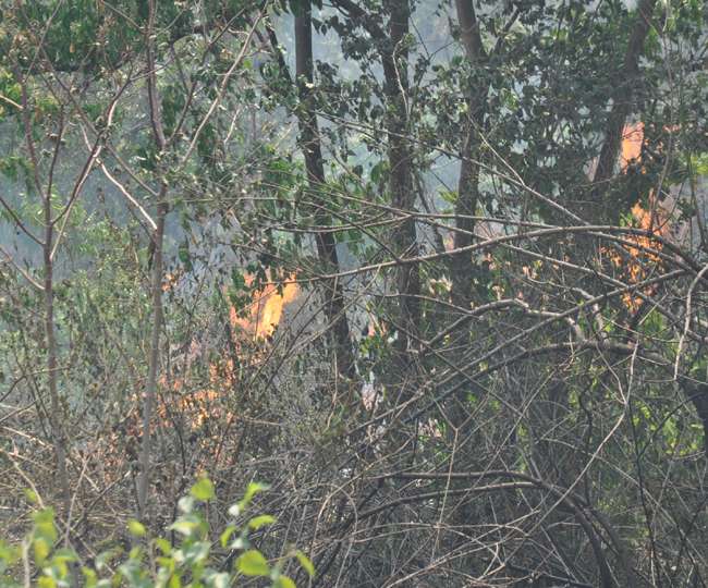 Photo of देहरादून में राष्ट्रपति के आशियाने के पास पहुँची जंगल की आग, मचा हडकंप