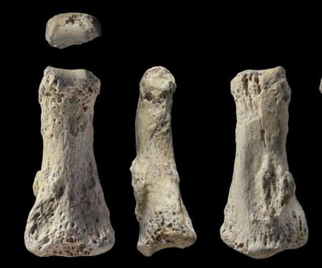 Photo of सऊदी अरब में मिली 85 हजार साल पुरानी इंसानी उंगली