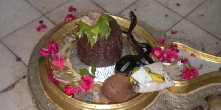 Photo of इस मंदिर में नागों का जोड़ा करता है शिवलिंग की पूजा…