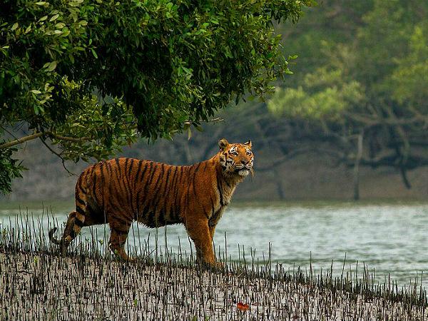 Photo of ये हैं नवम्बर में घूमने लायक 5 बेहतरीन जगहें