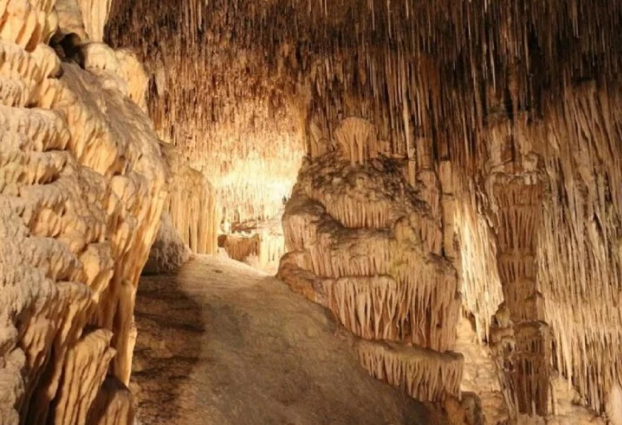 सूखे और बाढ़ की भविष्यवाणी करने वाली गुफा की वैज्ञानिकों ने की खोज