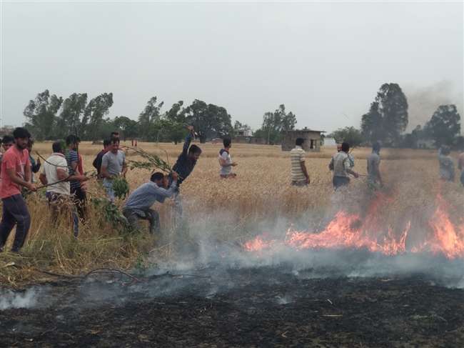 Photo of आग ने कहर बरपाया और दोनों जिलों के विभिन्न क्षेत्रों में 930 कनाल फसल जलकर राख हो गई