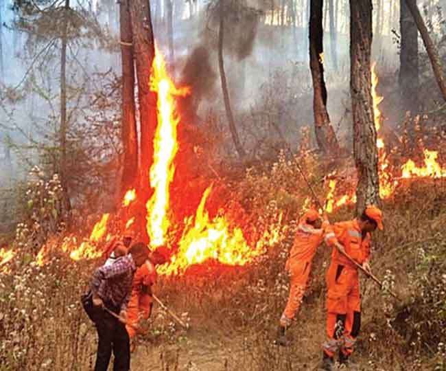 Photo of उत्तराखंड में जंगलों की आग अब पेशानी पर बल डाल रहा दावानल, तीन दिन के भीतर ही आग की 41 घटनाएं सामने आईं