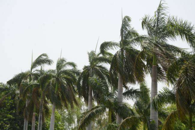 Photo of फणि चक्रवात आज शाम तक पहुंचेगा कानपुर, यलो अलर्ट जारी