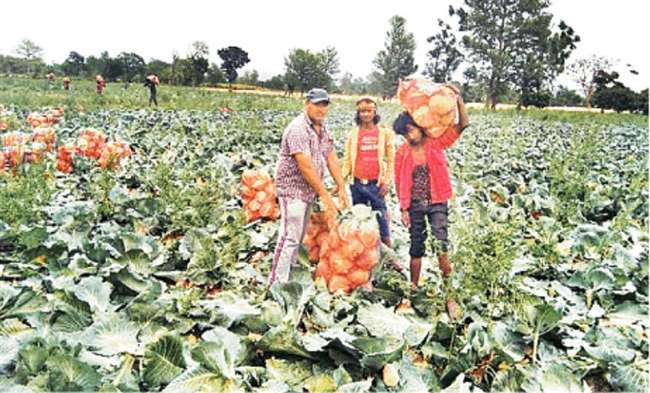 Photo of अधिकांश किसान अब अगले डेढ़-दो माह खेत खाली रखकर धान की रोपाई का करेंगे इंतजार…