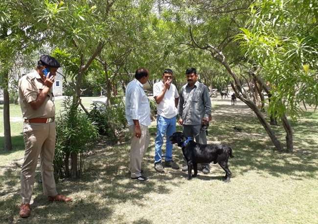 Photo of पुलिस चौकी से महज सौ कदम की दूरी पर नगर निगम के पार्क में सिर कुचला शव मिलने से फैल गई सनसनी