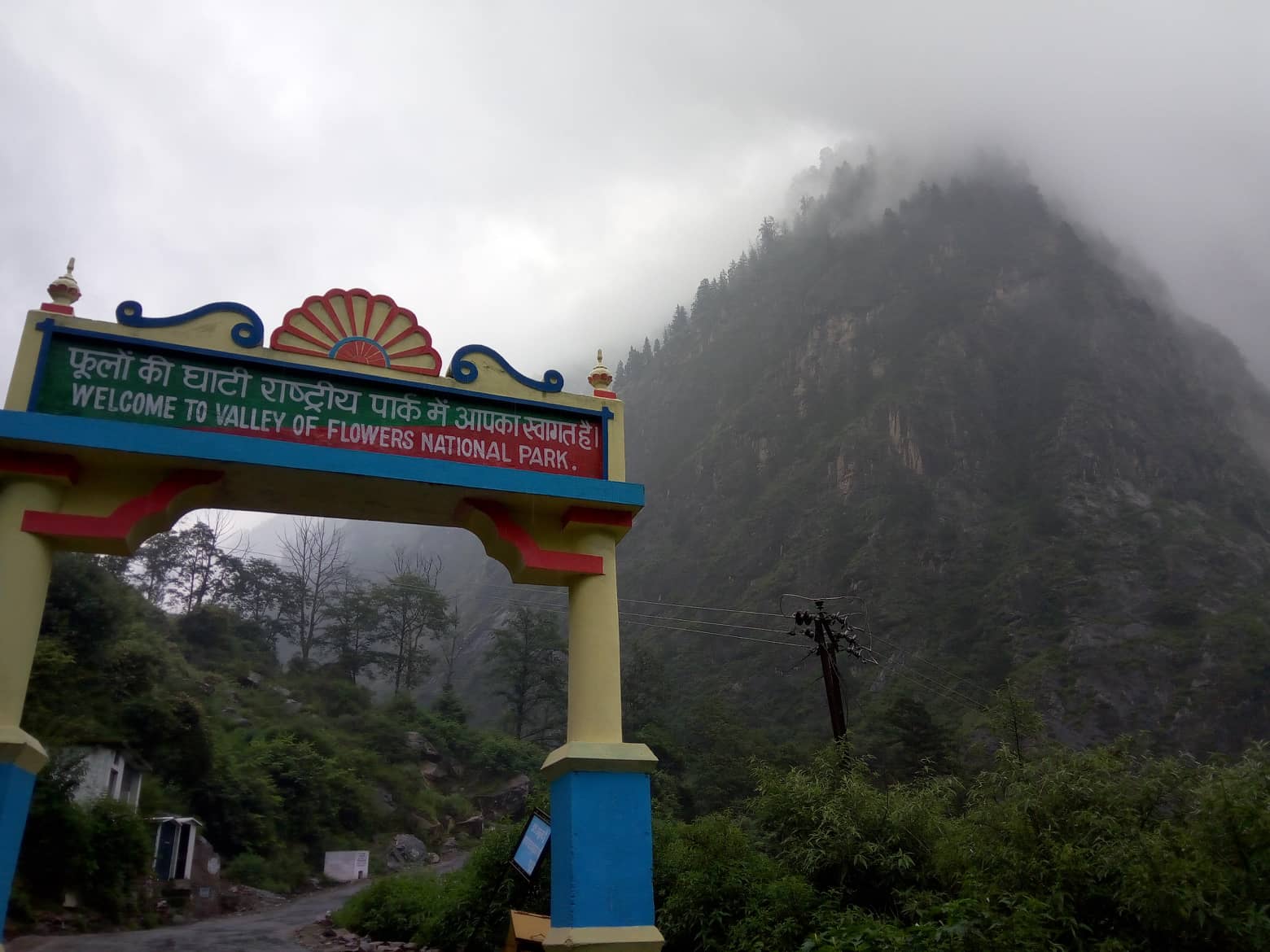 Photo of फूलों की घाटी दुनिया की इकलौती जगह है, पर्यटक 1 जून से कर सकेंगे फूलों की घाटी की सैर….