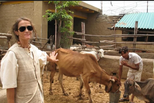 Photo of पद्मश्री सुदेवी की वीजा अवधि एक साल के लिए बढ़ी , राष्ट्रीय सम्मान लौटाने की दी थी धमकी।