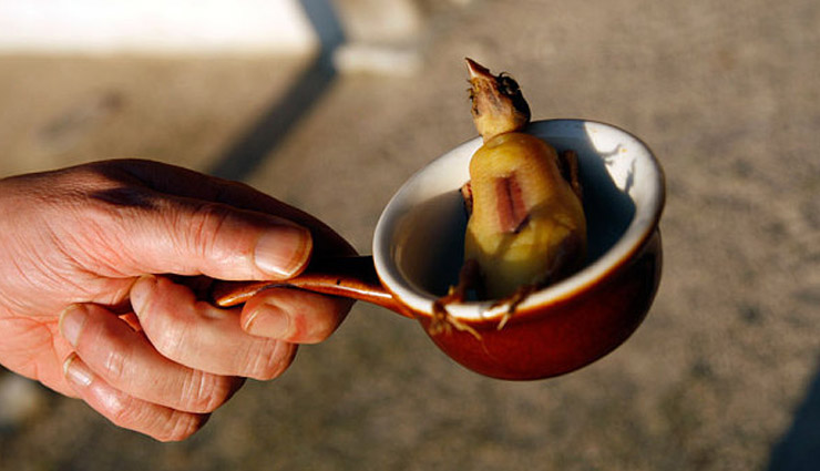 Photo of इन जगहों पर इन चीजों को खाना खिला सकता है आपको जेल कि हवा