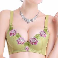 Photo of ब्रा बढ़ाती है महिलाओं का आकर्षण, इसके चुनाव के समय ध्यान रखें ये बातें