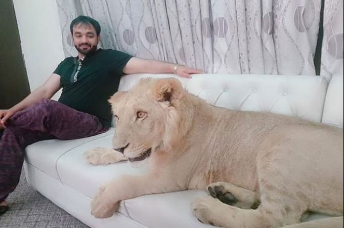 Photo of लोग कुत्ते-बिल्ली पालते हैं, लेकिन इस शख्स ने पाल रखा है शेर