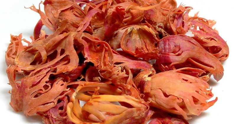 Photo of दांतो की समस्या में फ़ायदेमन्द है जावित्री जानिए इसके और फायदे