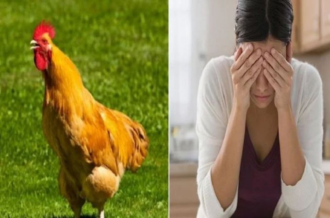 Photo of मुर्गे से परेशान महिला पहुंची थाने, कहा- वह हर रोज आकर मेरे….’