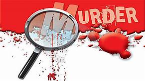 Photo of नौकरी को लेकर हुई लड़ाई से बड़े भाई ने उतारा छोटे भाई को मौत के घाट