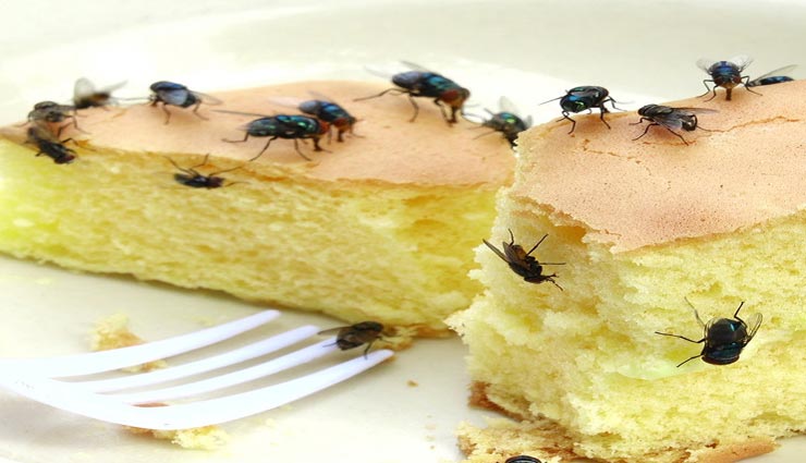 Photo of बासी खाना कर सकता है गर्मियों में आपको परेशान,इन बिमारियों का कारण