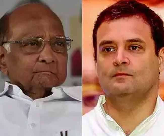 Photo of पवार की पार्टी का कांग्रेस में नहीं होगा विलय,विधानसभा चुनाव पर टिकी NCP की नजर