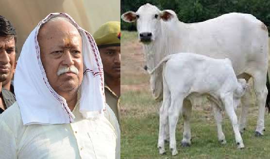 Photo of चार दिनों के प्रवास पर कानपुर आए संघ प्रमुख द्वारा दी गई जानकारी पर स्वयंसेवकों ने निर्वहन किया शुरू