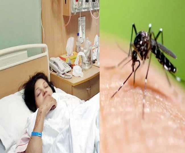Photo of सावधान हो जाएं और अपना ठीेक से ध्‍यान रखें, क्‍योंकि डेंगू के मच्‍छर बदल रहा अपनी प्र‍कृति