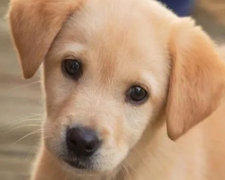 Photo of आखिर क्यों थी ? इस महिला की ऐसी आखिरी ख्वाहिश, आप भी सोचने पर हो जाएंगे मजबूर