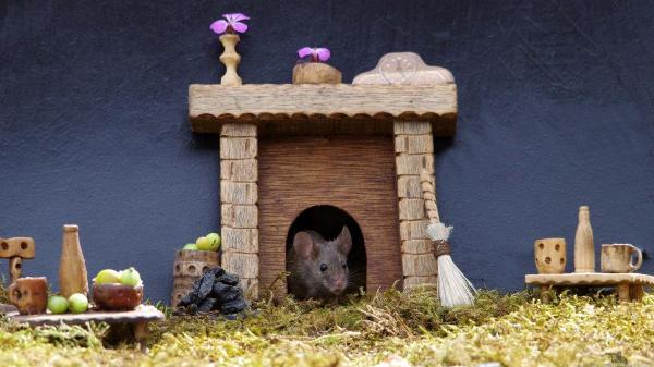 Photo of PHOTOS: चूहों के लिए बना दिया छोटा सा गांव, घरों में डाइनिंग टेबल से लेकर लॉन तक है सारी सुविधाएं