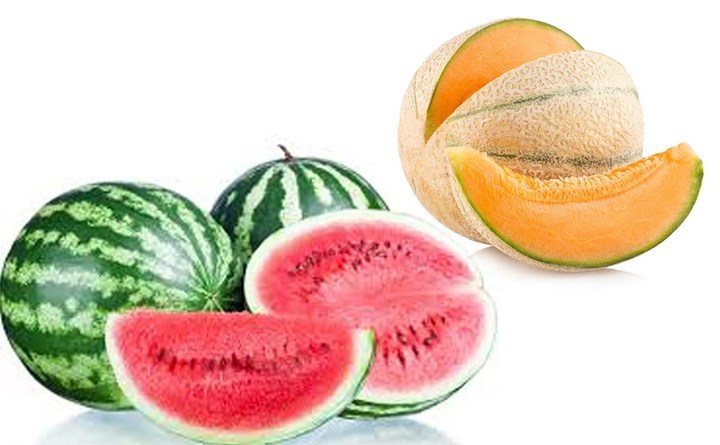 Photo of बॉबी-मुस्कान और माधुरी-सरस्वती गोंडा ही दीवाना नहीं, बल्कि आसपास के जिलों में भी इनकी काफी शोहरत….