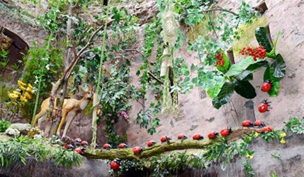 Photo of पंचकूला: 200 साल पुराने मोरनी हिल्स किले में खुला हरियाणा का पहला नेचर म्यूजियम