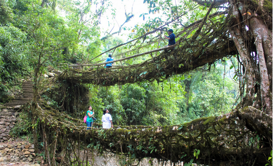 Photo of घूमना चाहते  है कोई ऐसी जगह जहां एक पल में जिंदगी भर का सुकून मिले तो भारत की इन 4 ‘ऑफबीट’ जगह पर जाना बनता है