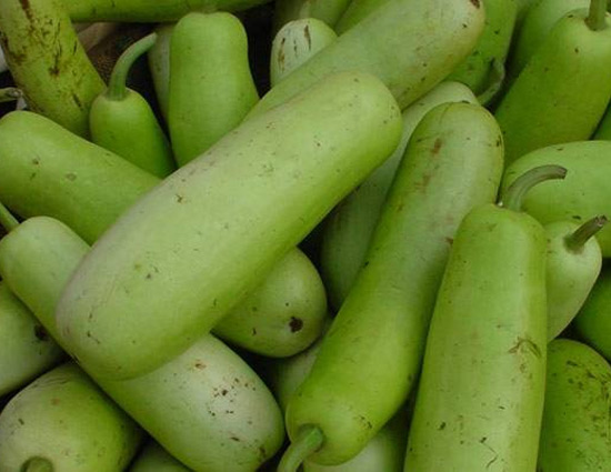 Photo of मानसिक तनाव को कम करती है लौकी, जाने और फायदे