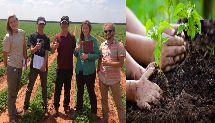 Photo of यहाँ ग्रेजुएशन की डिग्री के लिए पढ़ाई से ज्यादा जरूरी पेड़ लगाना, बनाया गया है विशेष कानून