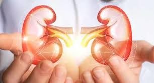 Photo of कानपुर में अवैध तरीके से किडनी ट्रांसप्लाट करने के मामले में अस्पताल के सीईओ को लिया हिरासत में