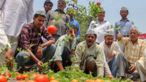 Photo of फसल के लिए मांग रहे पानी, किसानों का विरोध प्रदर्शन पांचवें दिन भी जारी…