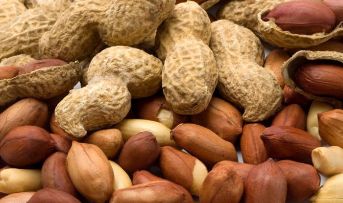 Photo of दवा से भी बढ़कर है मूंगफली के गुण, जानें और करें इसका सेवन