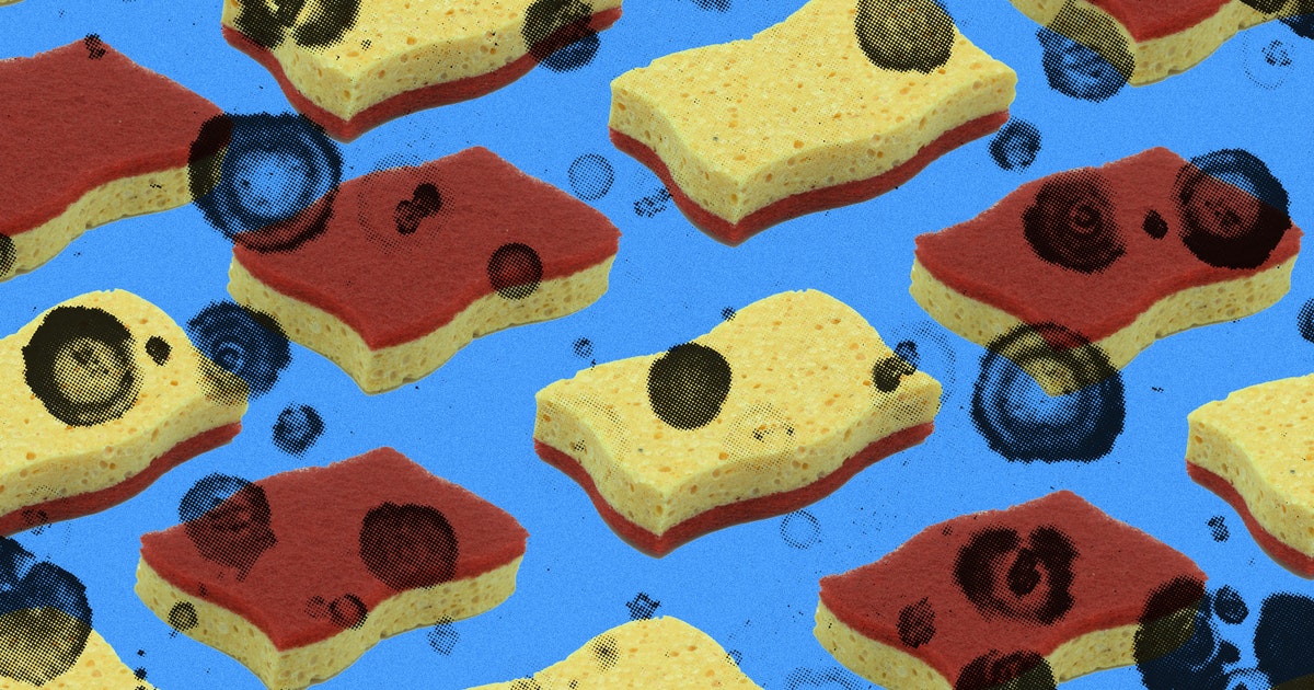 Photo of कई वायरस होते हैं आपके किचन Sponge में, घबराएं नहीं आपके लिए है फायदेमंद