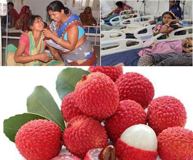 Photo of बिहार में इंसेफेलाइटिस का कहर: लीची नहीं इस वजह से फ़ैल रही है यह बड़ी बीमारी…
