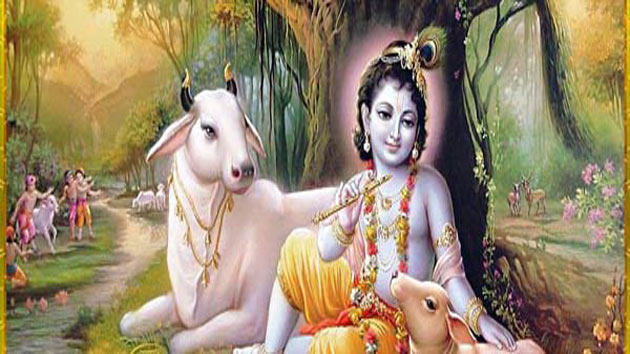 Photo of क्या आप जानते हैं गोपाष्टमी की पौराणिक कथा