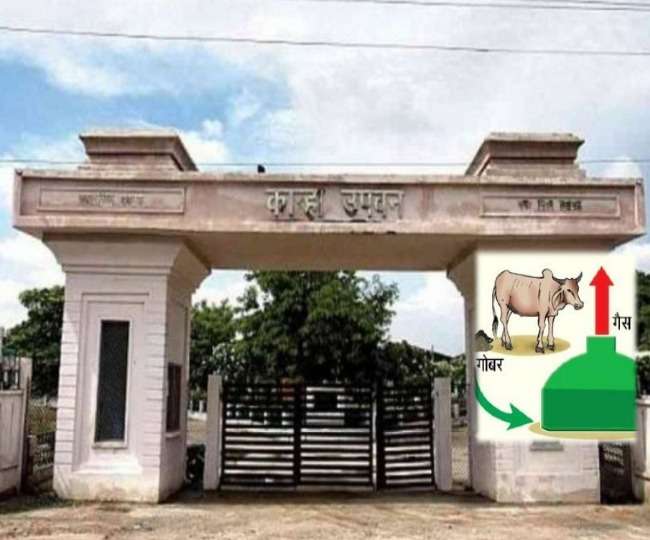 Photo of कान्हा उपवन में गोबर से लट्ठा, धूपबत्ती बनाने के बाद अब बनाई जाएगी गैस भी….