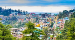 Photo of आइये कभी दांदेली, यहाँ बहुत रोमांच है…