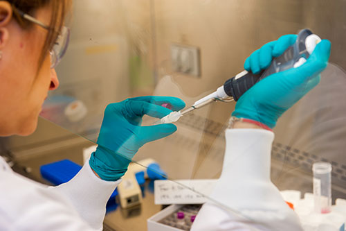 Photo of क्या कोरोना के उपचार की कोई जड़ी बूटी जंगलों में होगी ?