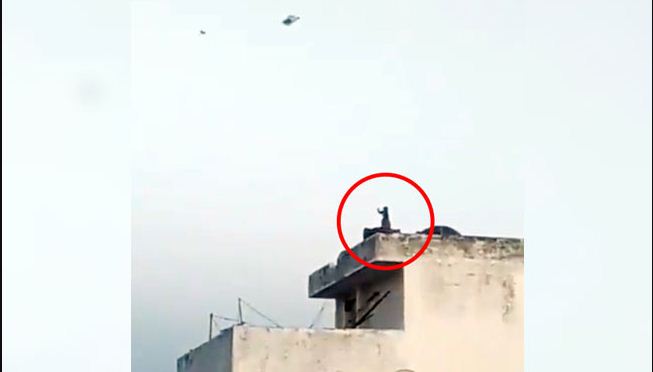 Photo of वीडियो : लॉकडाउन में इंसान नहीं बंदर ऐसे काट रहा है लोगों की पतंग
