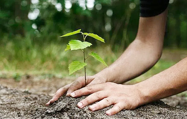 Photo of तो क्या योगी सरकार एक और रिकॉर्ड की तरफ बढ़ा रही कदम