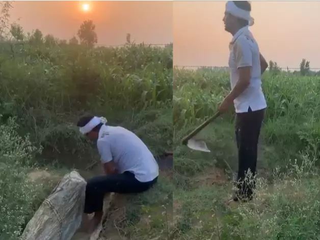 Photo of खेतों में काम कर रहे इस अभिनेता को नहीं पहचान पाएंगे आप, देखें वीडियो